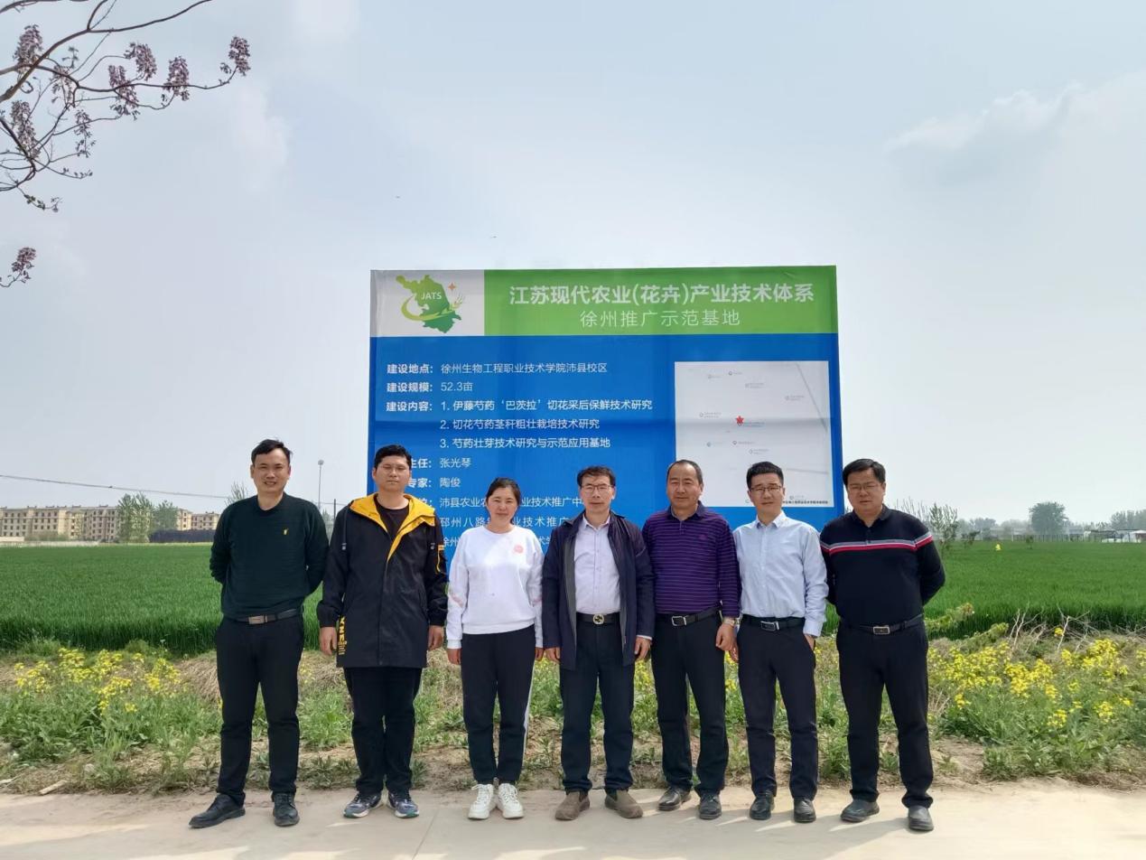 省花卉产业技术体系岗位专家莅临徐州基地指导工作